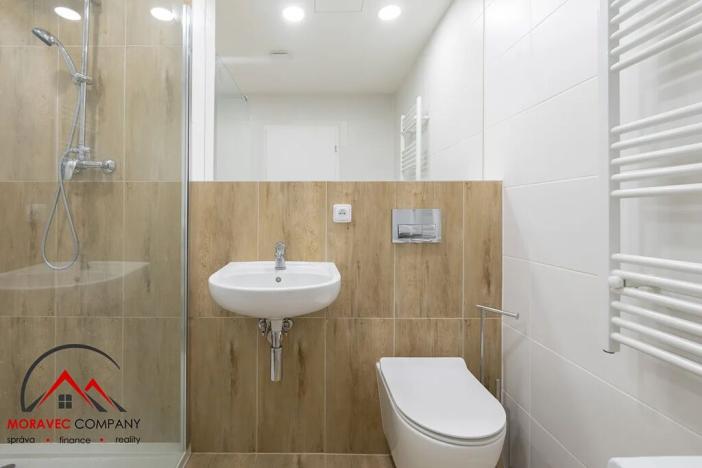 Pronájem bytu 1+kk, Ostrava, Cihelní, 17 m2