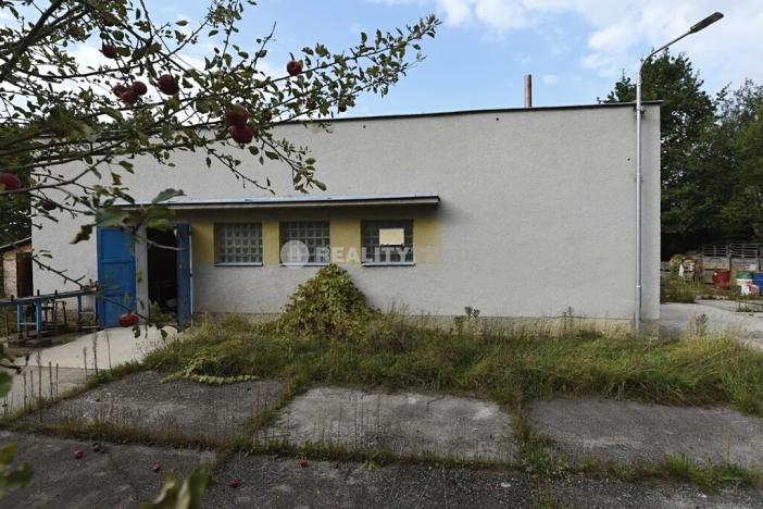 Prodej komerční nemovitosti, Vodňany, 99 m2