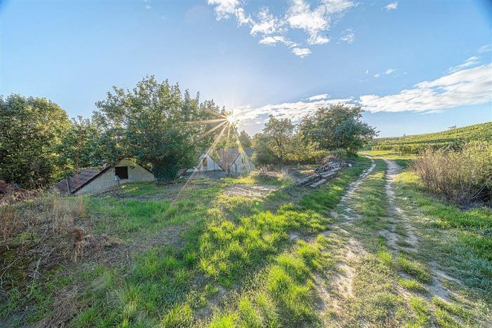 Prodej ostatní, Čejkovice