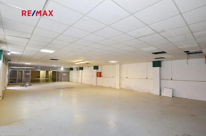 Pronájem obchodního prostoru, Frýdek-Místek, Třebízského, 220 m2