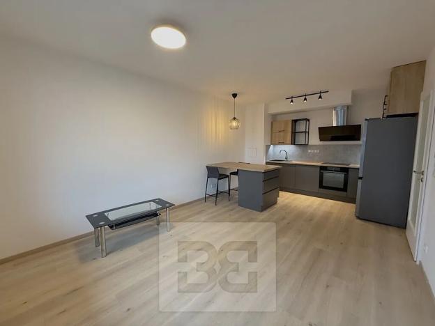 Pronájem bytu 2+kk, Praha - Žižkov, Olgy Havlové, 46 m2