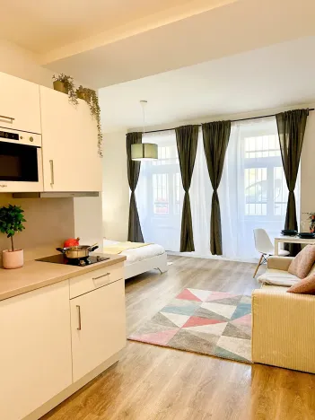 Pronájem bytu 1+kk, Praha - Nové Město, Petrská, 31 m2