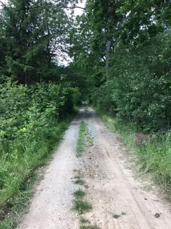 Prodej chalupy, Pozďatín, 210 m2