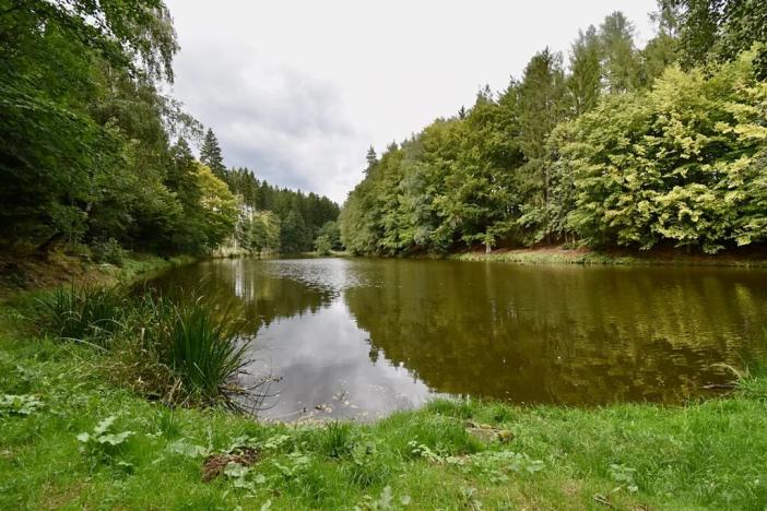 Prodej chalupy, Číhošť, 75 m2