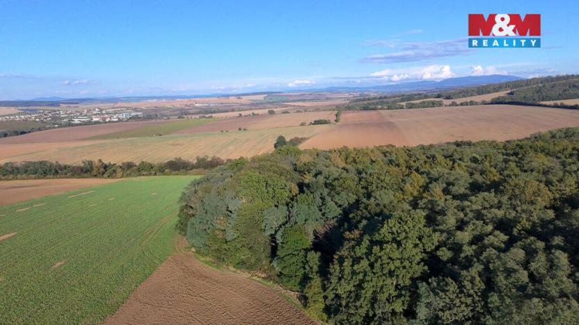 Prodej lesa, Kněždub, 845297 m2
