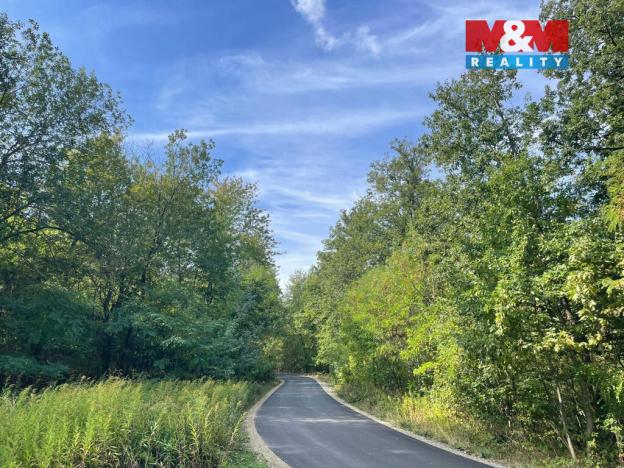 Prodej lesa, Kněždub, 845297 m2