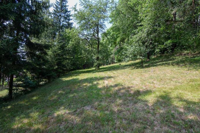 Prodej zahrady, Stříbrná Skalice, osada Spálený, 1015 m2