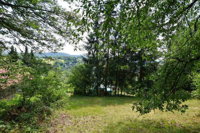 Prodej zahrady, Stříbrná Skalice, osada Spálený, 1015 m2