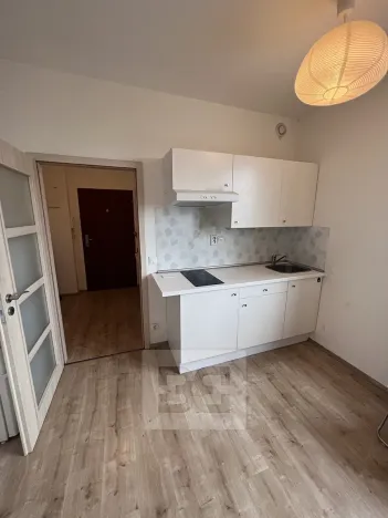 Pronájem bytu 1+kk, Praha - Vysočany, Freyova, 23 m2