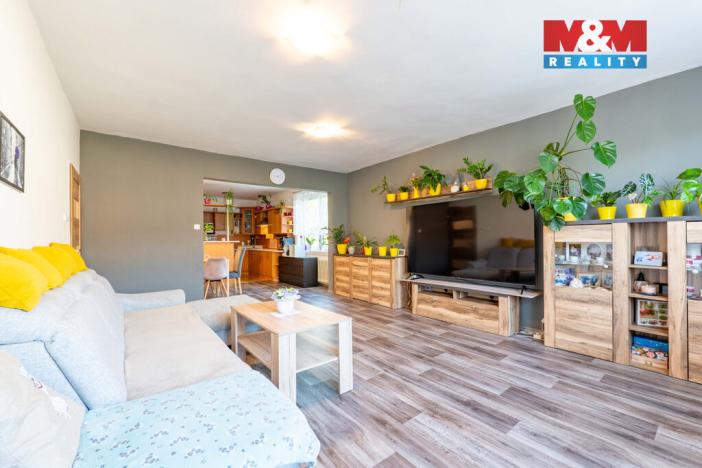 Prodej rodinného domu, Březnice, 260 m2