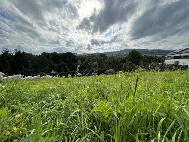 Prodej pozemku, Dlouhý Most, 1108 m2