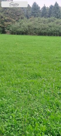 Prodej pozemku, Králova Lhota, 2640 m2