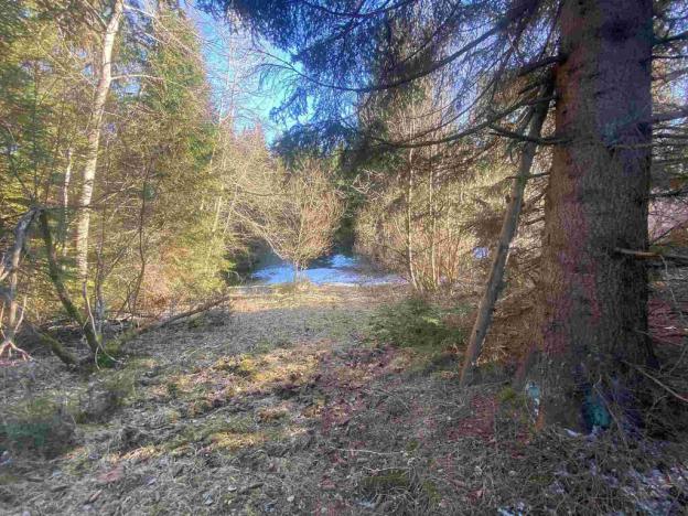 Prodej pozemku, Čachrov - Javorná, 12768 m2