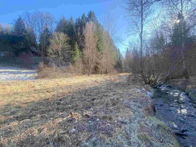 Prodej pozemku, Čachrov - Javorná, 12768 m2