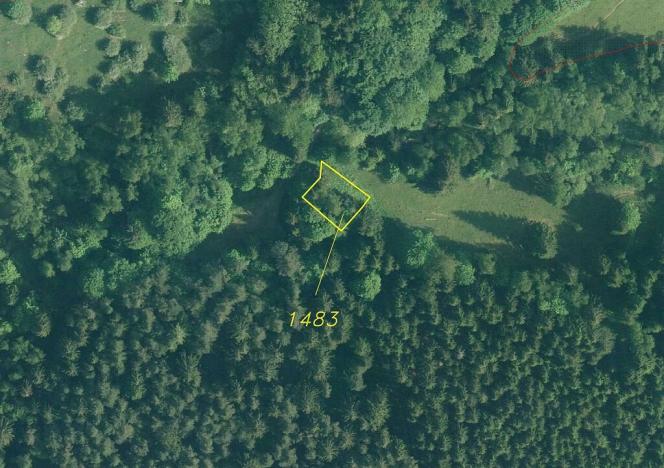 Prodej pozemku, Čachrov - Javorná, 12768 m2