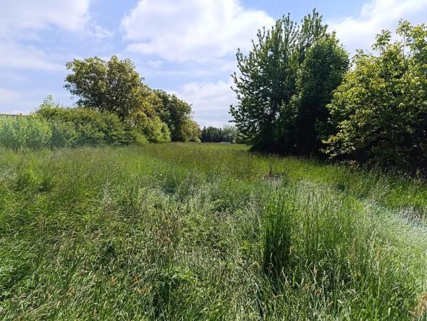 Prodej chalupy, Kožlany, 180 m2