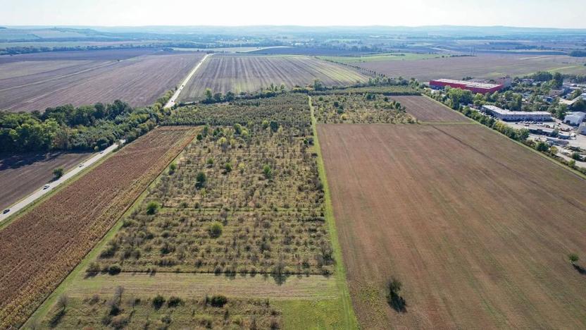 Prodej komerčního pozemku, Brno, 11220 m2