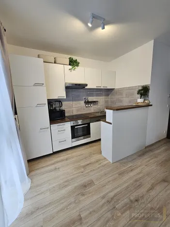 Pronájem bytu 3+kk, Břežany II, 75 m2