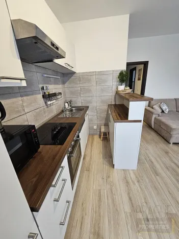 Pronájem bytu 3+kk, Břežany II, 75 m2