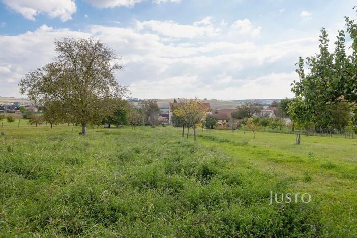 Prodej garáže, Těmice, 38 m2