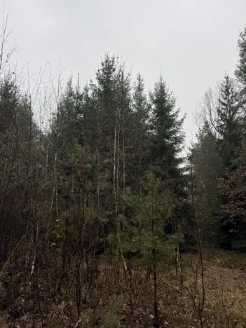 Prodej pozemku, Veliny, 50855 m2