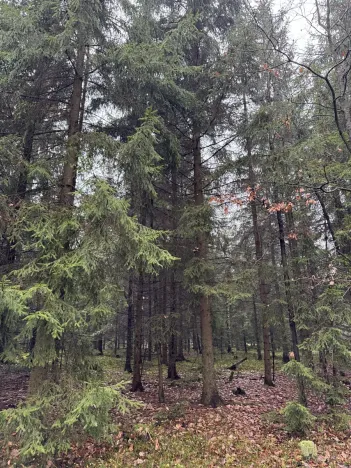 Prodej pozemku, Veliny, 50855 m2