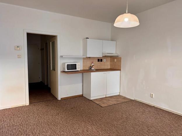 Pronájem bytu 1+kk, Pardubice, nábřeží Závodu míru, 30 m2