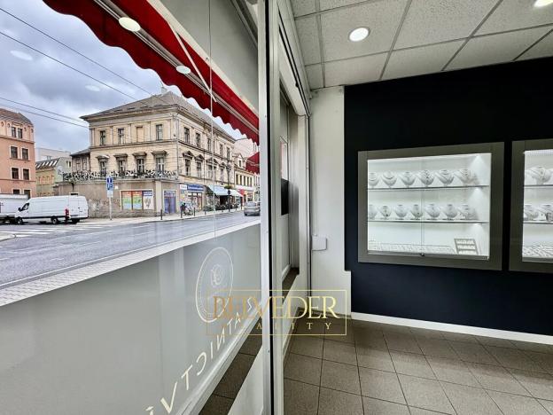 Pronájem obchodního prostoru, Teplice, Masarykova třída, 50 m2