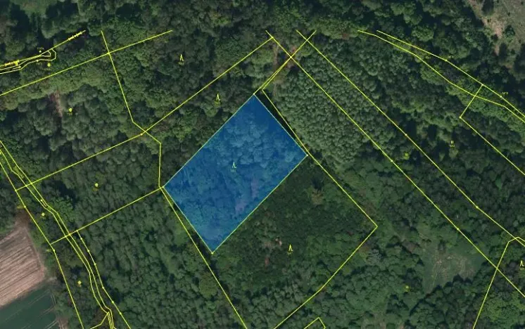 Dražba lesa, Petrovice u Karviné, 14718 m2