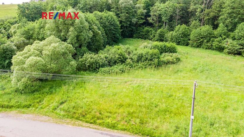 Prodej pozemku pro bydlení, Nový Bor, 2207 m2