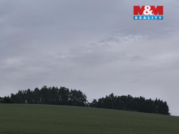 Prodej lesa, Střelské Hoštice - Kozlov, 20128 m2