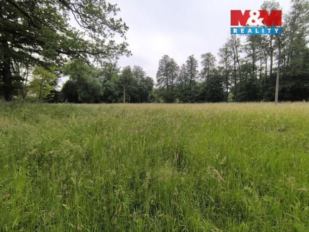 Prodej lesa, Střelské Hoštice - Kozlov, 20128 m2