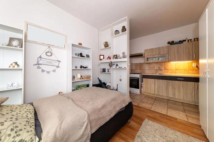 Prodej bytu 1+1, Plzeň, Ke Sv. Jiří, 51 m2