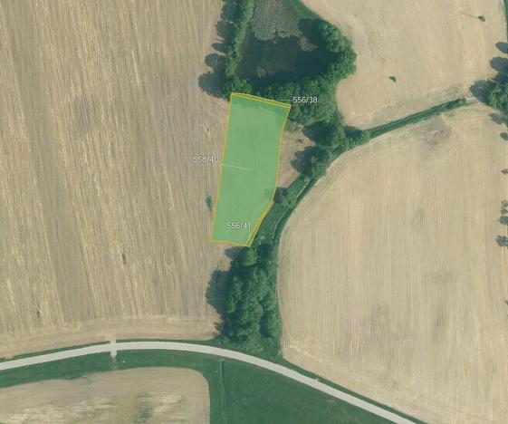 Prodej pole, Olešník, 67455 m2