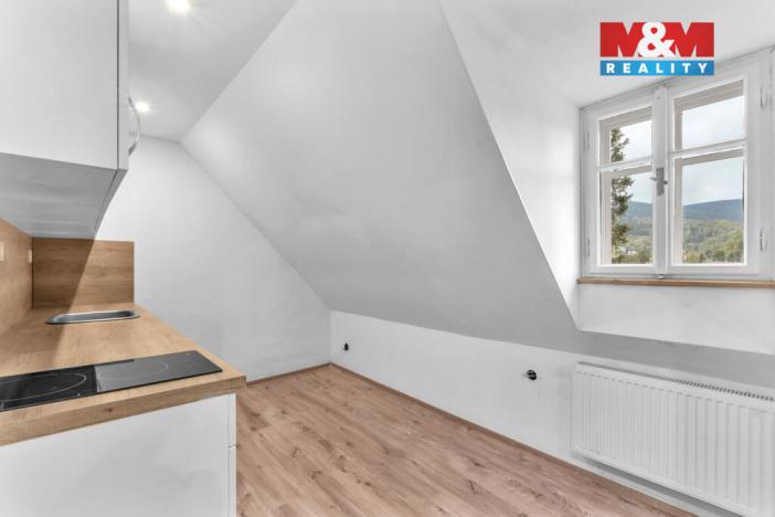 Prodej rodinného domu, Rokytnice nad Jizerou - Horní Rokytnice, 440 m2