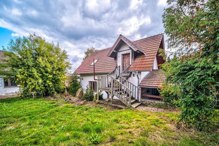 Prodej komerční nemovitosti, Horní Cerekev, 460 m2