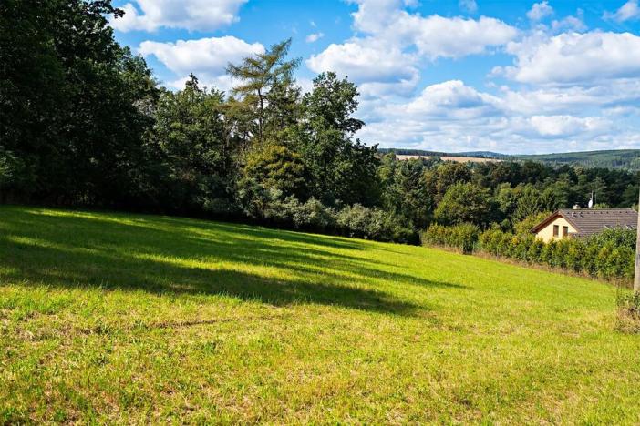 Prodej pozemku pro bydlení, Plasy, 3866 m2