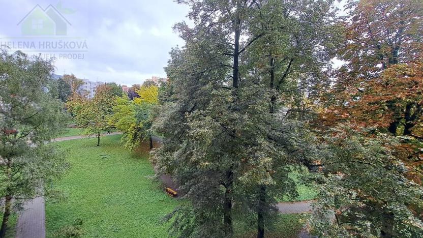 Pronájem bytu 1+1, Ostrava, Hornopolní, 40 m2