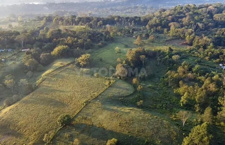 Prodej pozemku pro bydlení, Puerto Jiménez, Kostarika, Calle Los Pollos, 8924 m2