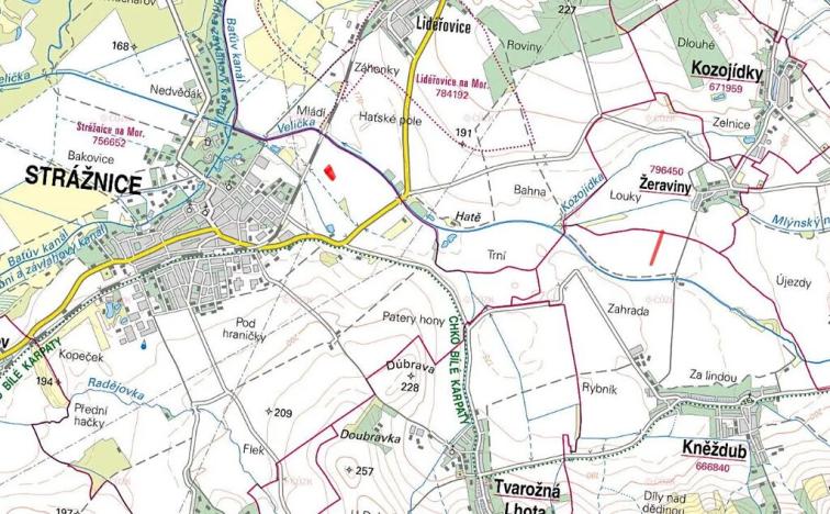 Prodej pole, Strážnice, 5689 m2