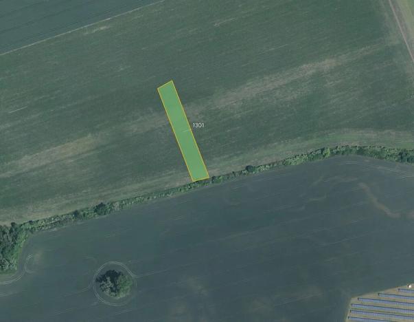 Prodej pole, Žeraviny, 3981 m2