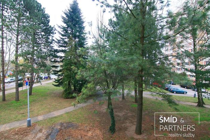 Pronájem bytu 1+1, Kolín, Dělnická, 34 m2