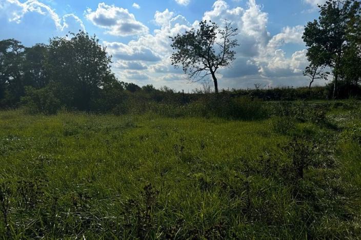 Prodej pozemku pro bydlení, Krušovice, 2750 m2