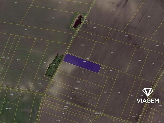 Prodej podílu pole, Záhornice, 403 m2