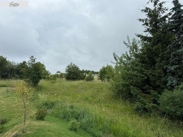 Prodej pozemku, Dubí - Cínovec, 3172 m2