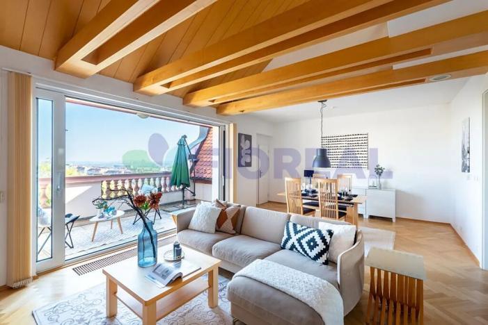 Pronájem bytu 5+1, Praha - Vinohrady, Kladská, 225 m2