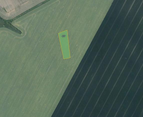 Prodej podílu pole, Děčany, 4184 m2