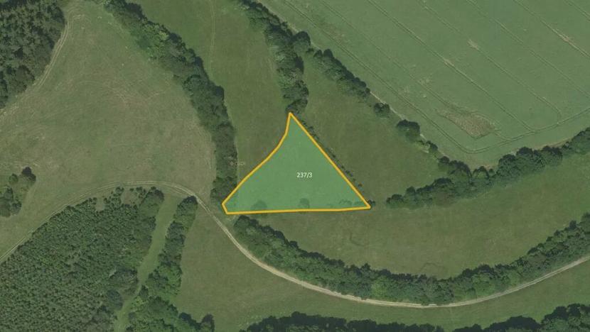 Prodej pole, Vranová Lhota, 9711 m2