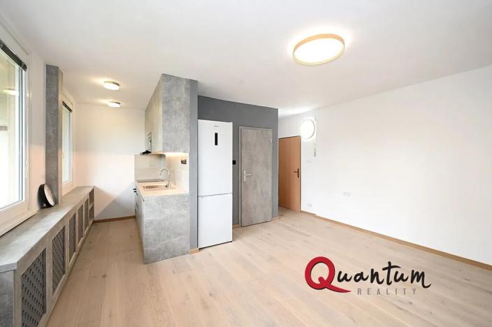 Pronájem bytu 1+kk, Praha - Michle, V zápolí, 36 m2