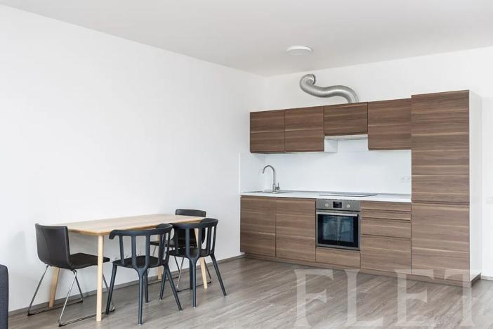 Pronájem bytu 1+kk, Praha - Žižkov, Olgy Havlové, 48 m2